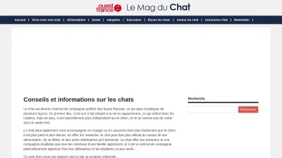 Le Magazine des Chats