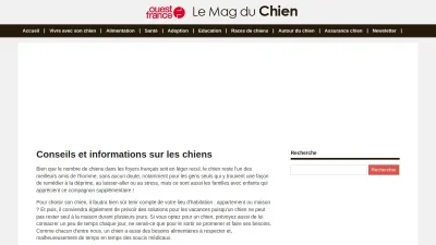 Le Magazine des Chiens