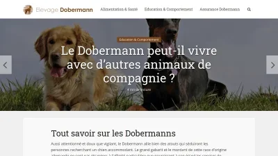 Elevage-dobermann.fr 