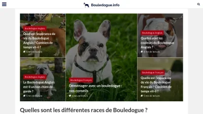 Bouledogue.info
