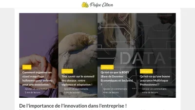 Pulpe-citron.com