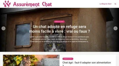 Assurément Chat