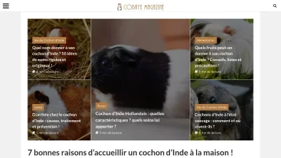 Cobaye Magazine