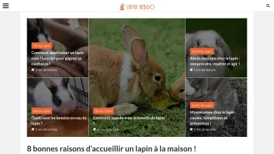 Lapin-hebdo.com