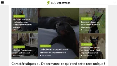 Sos Dobermann
