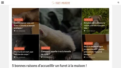 Furet Magazine