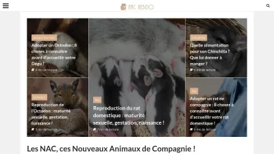 NAC Hebdo