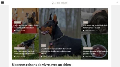 Chien Hebdo