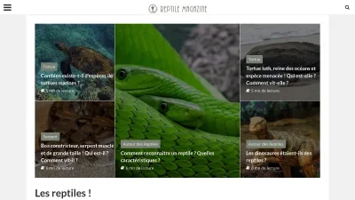 Reptile Magazine